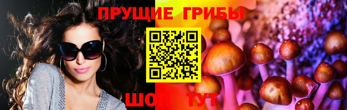Нурлат  Галлюциногенные грибы GOLDEN TEACHER  Вход с VPN  сколько стоит  Галлюциногенные грибы GOLDEN TEACHER 